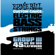Струны для бас-гитары Ernie Ball 2806 Flat Wound Bass Group III 45-100