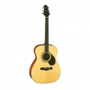Акустическая гитара GREG BENNETT OM5/N