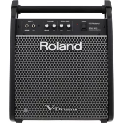 Персональный монитор ROLAND PM-100