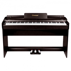 Цифровое фортепиано SOLISTA DP600R