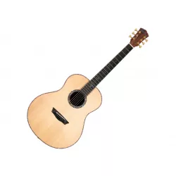 Акустическая гитара Washburn BTS24S Bella Tono Studio 24 Solid top