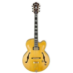 Электрогитара IBANEZ PM2-AA
