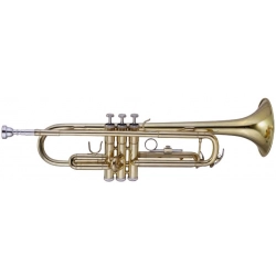 Труба Maxtone TTC-60/L-2