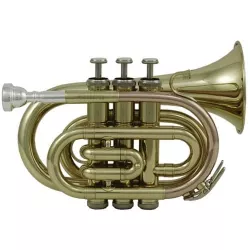 Труба Bb-Pocket PT-101 Roy Benson RB701.000