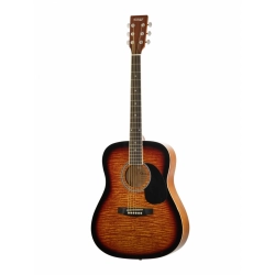 Акустическая гитара HOMAGE LF-4110T