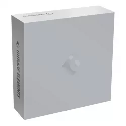 Программное обеспечение Steinberg Cubase Elements 10