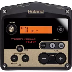 Электронный барабанный модуль ROLAND TM-2