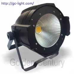 Световой прибор Golden PL100W