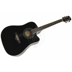 Акустическая гитара SOLISTA SG-D1 Black