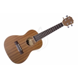 Укулеле концерт с чехлом TOM TUC-200B