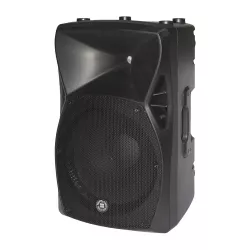 Акустическая система TOPP PRO TP XCS15A