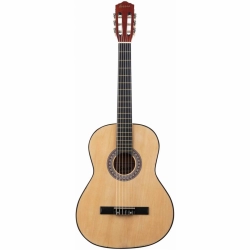 Гитара классическая 4/4 TERRIS TC-395A NA