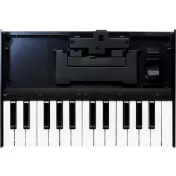 Синтезатор ROLAND K-25M