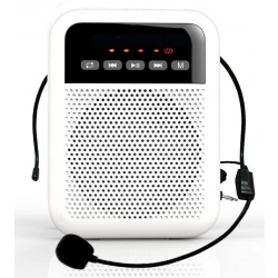 Переносной мегафон для гида LAudio WS-VA030