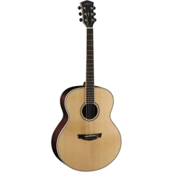 Акустическая гитара CORT PW 540 W-BAG NAT