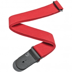 Ремень гитарный Planet Waves 50CT05