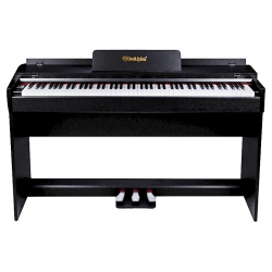 Цифровое фортепиано SOLISTA DP600BK