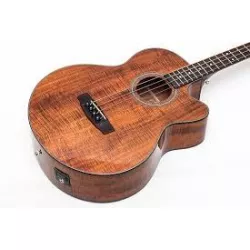 Акустическая бас-гитара CORT SJB5F WS