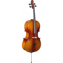 Виолончель 3/4 в комплекте Stagg VNC-3/4
