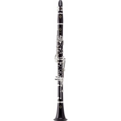 Кларнет RoyBenson Bb CB-218 (RB700.451)