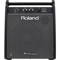 Персональный монитор ROLAND PM-200