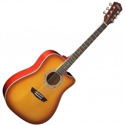 Акустическая гитара Washburn WA90CTS
