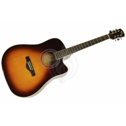 Акустическая гитара SOLISTA SG-D1 Sunburst