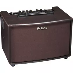 Комбоусилитель для акустической гитары ROLAND AC-60RW