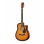 Акустическая гитара HOMAGE LF-3800CT-SB, фолк с вырезом