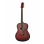 Акустическая гитара Naranda CAG280RDS фолк