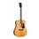 Акустическая гитара Cort GOLD D6 WCASE NAT Gold Series