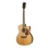 Электро-акустическая гитара Cort Gold OC6 Bocote WCASE NAT Gold Series