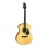 Акустическая гитара GREG BENNETT OM5/N