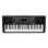 Синтезатор Alesis HARMONY 54