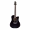 Электроакустическая гитара GREG BENNETT D1CE/BK