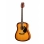 Акустическая гитара HOMAGE LF-4110-SB