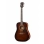 Акустическая гитара Cort EARTH70 BR WBAG Earth Series
