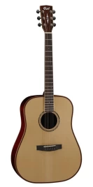Акустическая гитара CORT PW 310M W-BAG NS