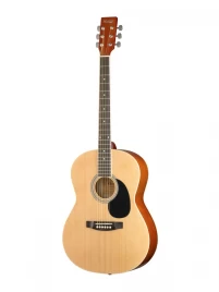 Акустическая гитара HOMAGE LF-3910, фолк