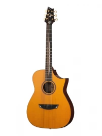 Электро-акустическая гитара Cort LUXE II WCASE NAT Frank Gambale Series