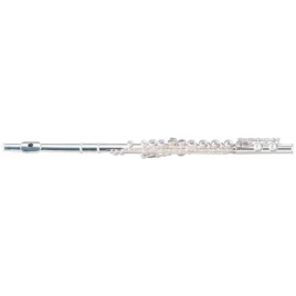 Флейта Maxtone TFC-60/S