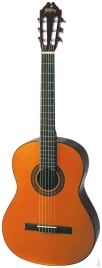Гитара Washburn C40
