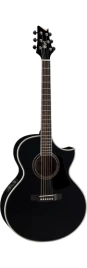 Электроакустическая гитара CORT NDX 20 BK
