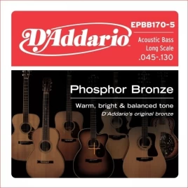 Струны для бас-гитары D'addario EPBB170-5 45-130