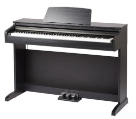 Цифровое пианино Medeli DP260 BK