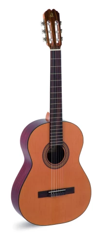 Классическая гитара ADMIRA PALOMA (satin) фото 1
