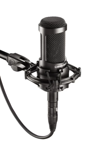 Микрофон студийный конденсаторный AUDIO-TECHNICA AT2035 фото 1