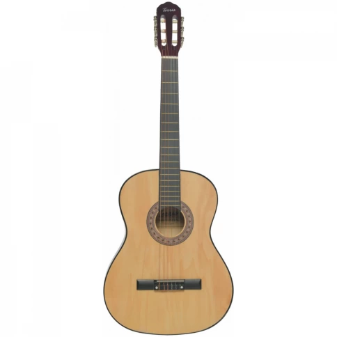 TERRIS TC-3901A NA классическая гитара 4/4 фото 1