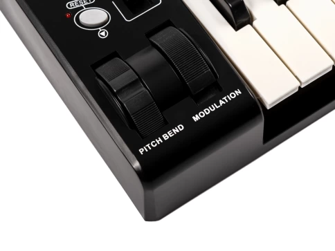 MIDI-контроллер, 25 клавиш LAudio KS-25A фото 4