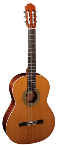 Классическая гитара Almansa 402 фото 1